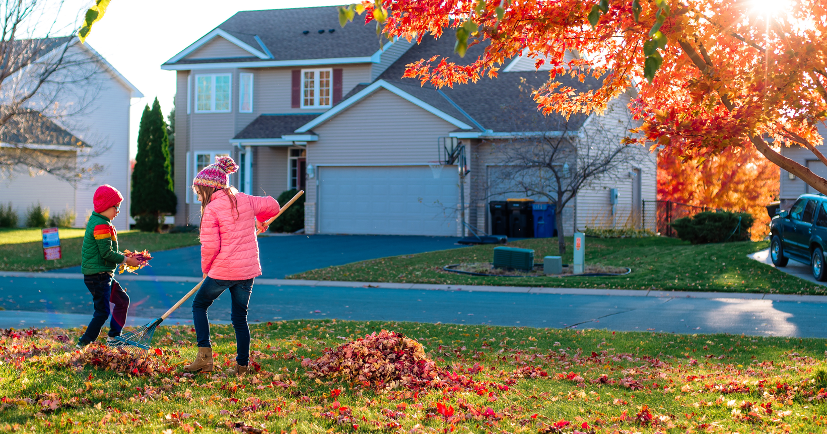 Des enfants ramassent des feuilles d'arbres
